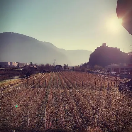 Hotel Gardenhotel Premstaller 4*