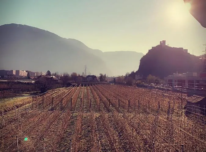 Hotel Gardenhotel Premstaller 4*