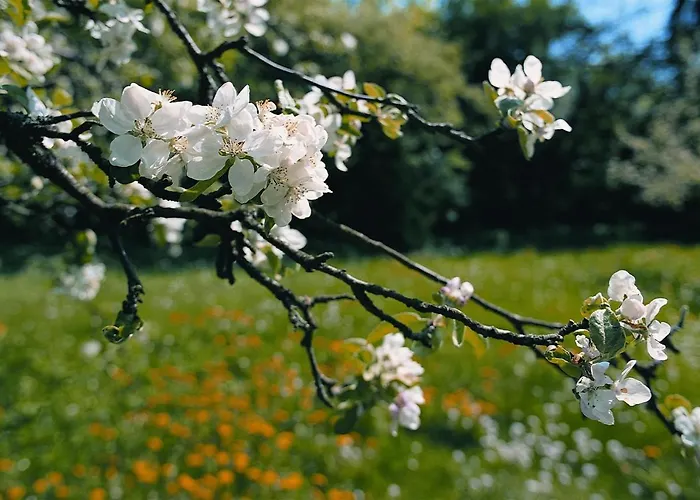 Gardenhotel Premstaller 4*